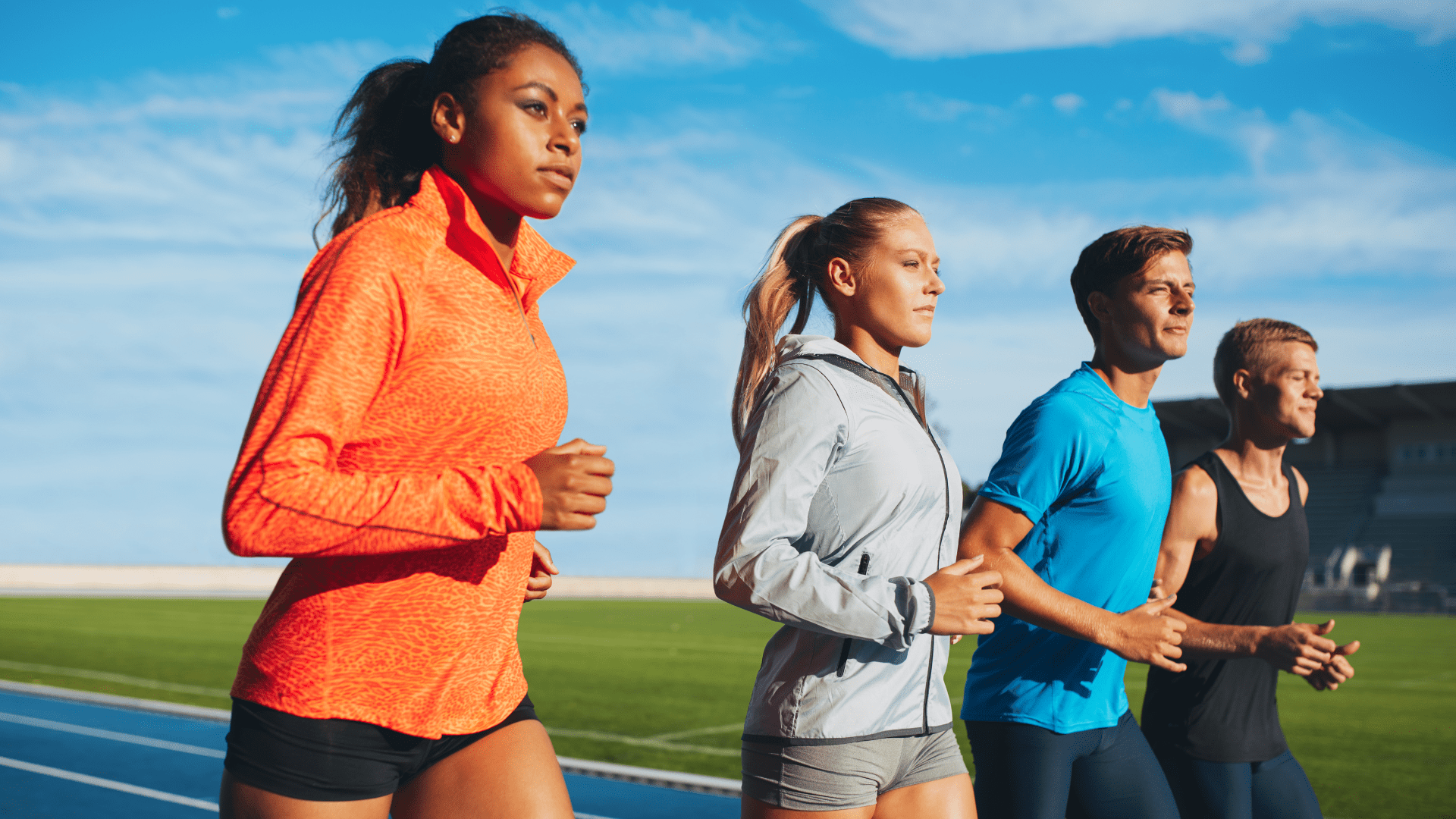 Create The Ultimate Activities List On The Common App HelloCollege