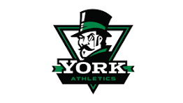 York High School Athletics Logo